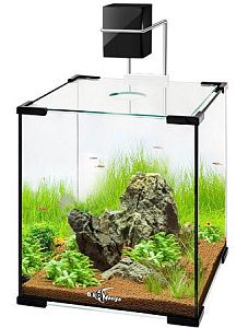 Аквариум Biodesign Q-SCAPE 6,5, 19х19×23 см, 6,5 л