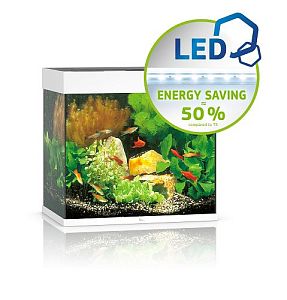 Аквариум JUWEL Лидо 120 LED, 120 л, 61х41×58 см
