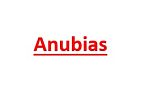 Anubias