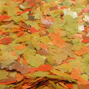 JBL NovoGrand основной корм для крупных видов рыб, крупные хлопья 12,5&nbsp;л