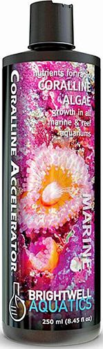 Питательные вещества Brightwell Aquatics Coralline Accelerator для быстрого роста коралловых водорослей, 250 мл