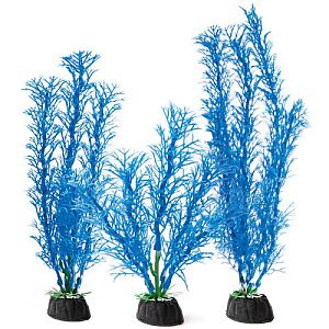 Растения Laguna «Амбулия» синие, набор 3 шт., 100 мм, 200 мм, 300 мм