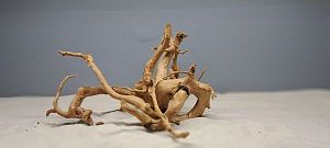 Коряга Сакура М, 30&minus;40&nbsp;см