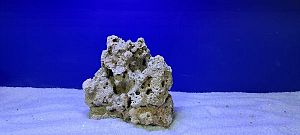 Камень сухой рифовый, цена за&nbsp;1&nbsp;кг