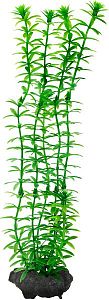 Растение пластиковое Tetra DecoArt Plant M&nbsp;Anacharis Элодея, 23&nbsp;см