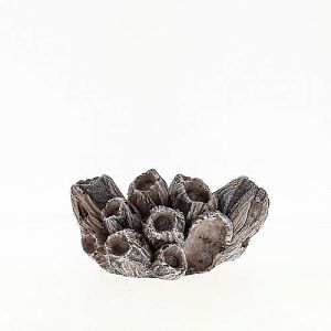 Коралл VITALITY Желуди, пластик, средний, 14,3×10,5×7,5 см