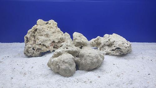 Камень сухой рифовый L, 15х20 см, 800-1200 г