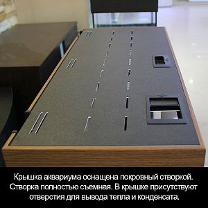 Аквариум START-UP 70 венге, светильник LED 11 Вт, комплект оборудования