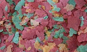 Основной корм Biodesign СПЕКТРАЛ для усиления окраски аквариумных рыб, хлопья 5,8&nbsp;л