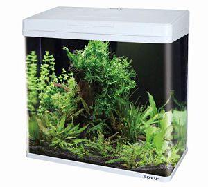 Аквариум BOYU с LED светильником и фильтром, 45 л, 480x250×490 мм, белый