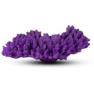 Коралл Белиз-1 Фиолетовый 28х19×10 см