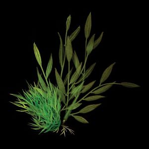 Композиция из светящихся растений Laguna, зеленая, 120 мм