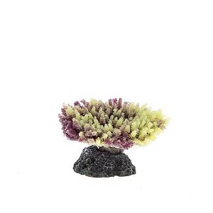 Коралл VITALITY мягкий, пластик, желтый, 7,5×6,5×3,6 см