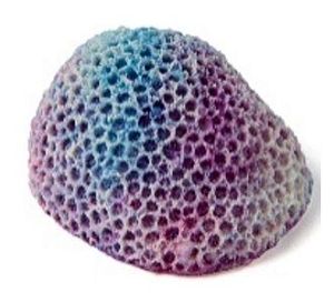 Кс-1920&nbsp;Мозговик (фиолетовый), 5.5*4.5*3.5&nbsp;см