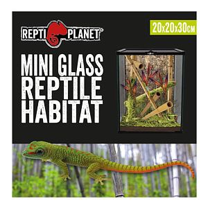 Террариум стеклянный Repti Planet 20х20×30 см