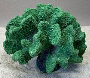 Цветной коралл зеленый Коралл большой, 21*18*16 см
