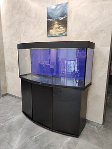 Аквариум б/у дуговой BIODESIGN ПАНОРАМА 280 (270 л) с тумбой и комплектом оборудования
