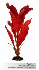 Шёлковое растение Barbus Апоногетон мадагаскарский красный 20 см