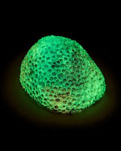 Кс-1920 Мозговик (фиолетовый), 5.5*4.5*3.5 см