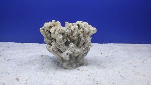 Камень сухой рифовый M, 10×15 см, 400−800 г