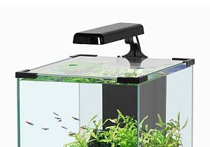 Светильник AQUATLANTIS LED для аквариума NANO CUBIC, 4 Вт