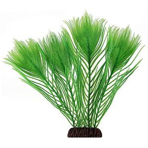 Растение Laguna «Эгерия» зеленая, 250 мм