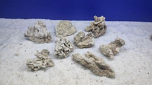 Камень сухой рифовый S, до&nbsp;10&nbsp;см, 200&minus;300&nbsp;г