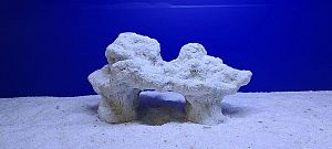 Камень VITALITY «Polyresin Bio-Stone», пластик, 37×22,5×19 см