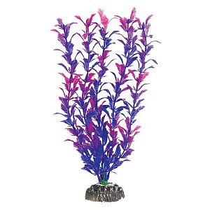 Растение Laguna «Людвигия фиолетовая», 300 мм