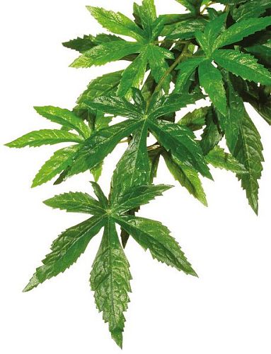 Тропическое растение Exo Terra Jungle Plants Абутилон пластиковое, среднее 55х20см