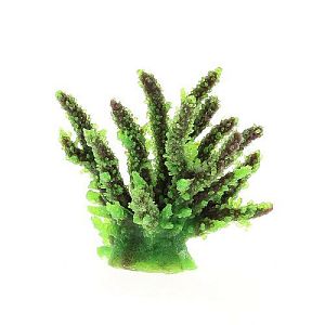 Коралл VITALITY мягкий, пластик, зеленый, 12,6×10,7×11 см