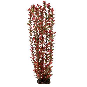 Растение Laguna «Людвигия» красная, 500 мм