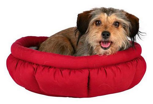 Лежак TRIXIE Leona с бортиком для собак, 45 см, микрофибра, плюш, красный, серый