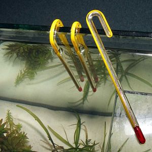 JBL Hang-on Aquarien-Thermometer L&nbsp;навесной термометр для аквариумов с&nbsp;толщиной стекла до&nbsp;15&nbsp;мм
