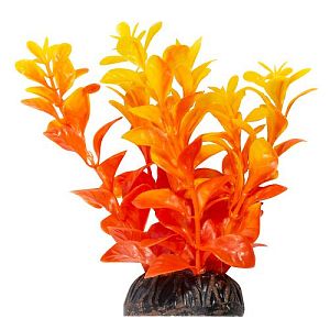 Растение Laguna «Людвигия» ярко-оранжевая, 100 мм