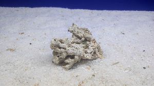 Камень сухой рифовый S, до 10 см, 200−300 г