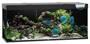 Аквариум JUWEL Rio 450 LED прямоугольный с оборудованием, 450л, черный, 151х51х66см