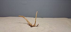 Коряга Сакура мини, до&nbsp;10&nbsp;см