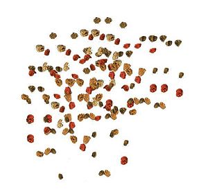 TetraMin Granules основной корм для всех видов аквариумных рыб, гранулы 500&nbsp;мл