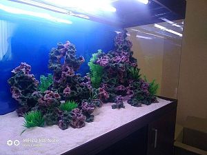 Камень цветной биокерамика риф М, 14−17 см