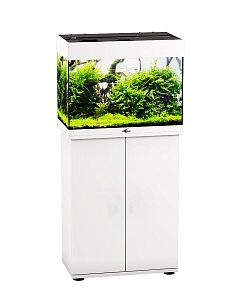 Пресноводный аквариум с&nbsp;тумбой STELLEX AQUA 60, 60&nbsp;л, 56х32&times;118&nbsp;см