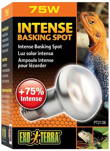 Лампа для баскинга Exo Terra Intense Basking Spot 75 Вт, 63 мм