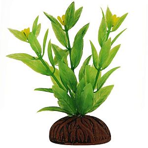 Растение Laguna «Альтернантера» зеленая цветущая, 80 мм