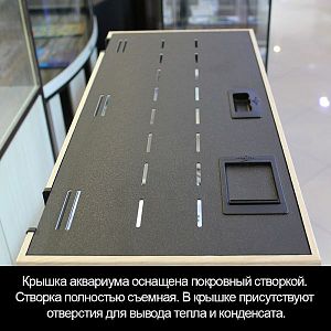 Аквариум START-UP 60&nbsp;дуб сонома, светильник LED 11&nbsp;Вт, комплект оборудования