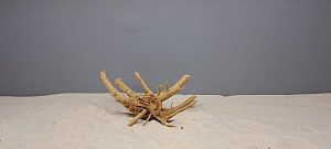 Коряга Сакура S, 15&minus;25&nbsp;см