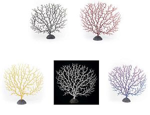 Горгонария Barbus в ассортименте 17×15 см