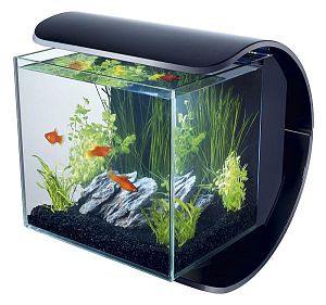 Аквариум Tetra Silhouette LED Tank «Силуэт», 12 л