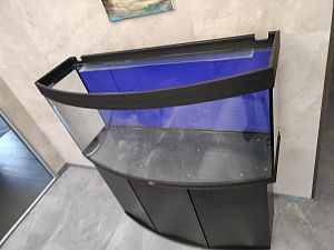Аквариум б/у дуговой BIODESIGN ПАНОРАМА 280 (270&nbsp;л) с&nbsp;тумбой и&nbsp;комплектом оборудования