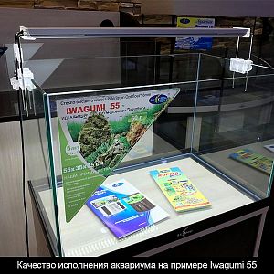 Аквариум Biodesign IWAGUMI 55&nbsp;для акваскейпинга, без светильника, 60&nbsp;л, 55х35&times;35&nbsp;см