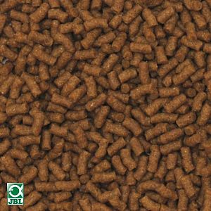 JBL Koi Energil maxi жизненно важный корм для карпов Кои размером от&nbsp;30&nbsp;см. в&nbsp;холодное время года, крупные палочки 5,5&nbsp;л